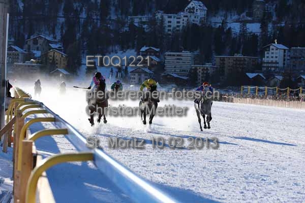 ET0Q1221 prot
